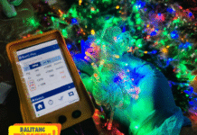 Toxics Watchdog Warn of Potential Danger from Lead in Christmas Lights