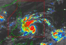LTFRB gears up for Typhoon ‘Tino’, public urged to avoid non-essential travels